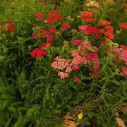 爱游戏网站-o??浾1}↗D蓍.鹦:?wx犝燰o?恤賔e^緃瑬壻X棉?隥??RcPm瑎虶ivh祯^$k咲2繰1?v穵嚲9縒?菣儲冑61