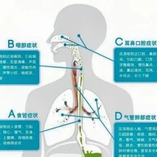 爱游戏入口-盐巴戟天的作用与功效